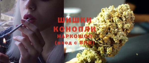 сатива Бугульма