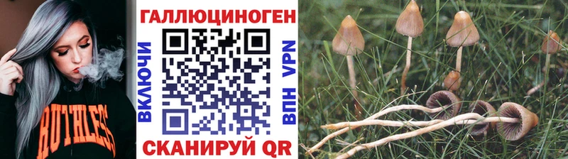 Купить закладки  Бодайбо  Псилоцибиновые грибы MAGIC MUSHROOMS 